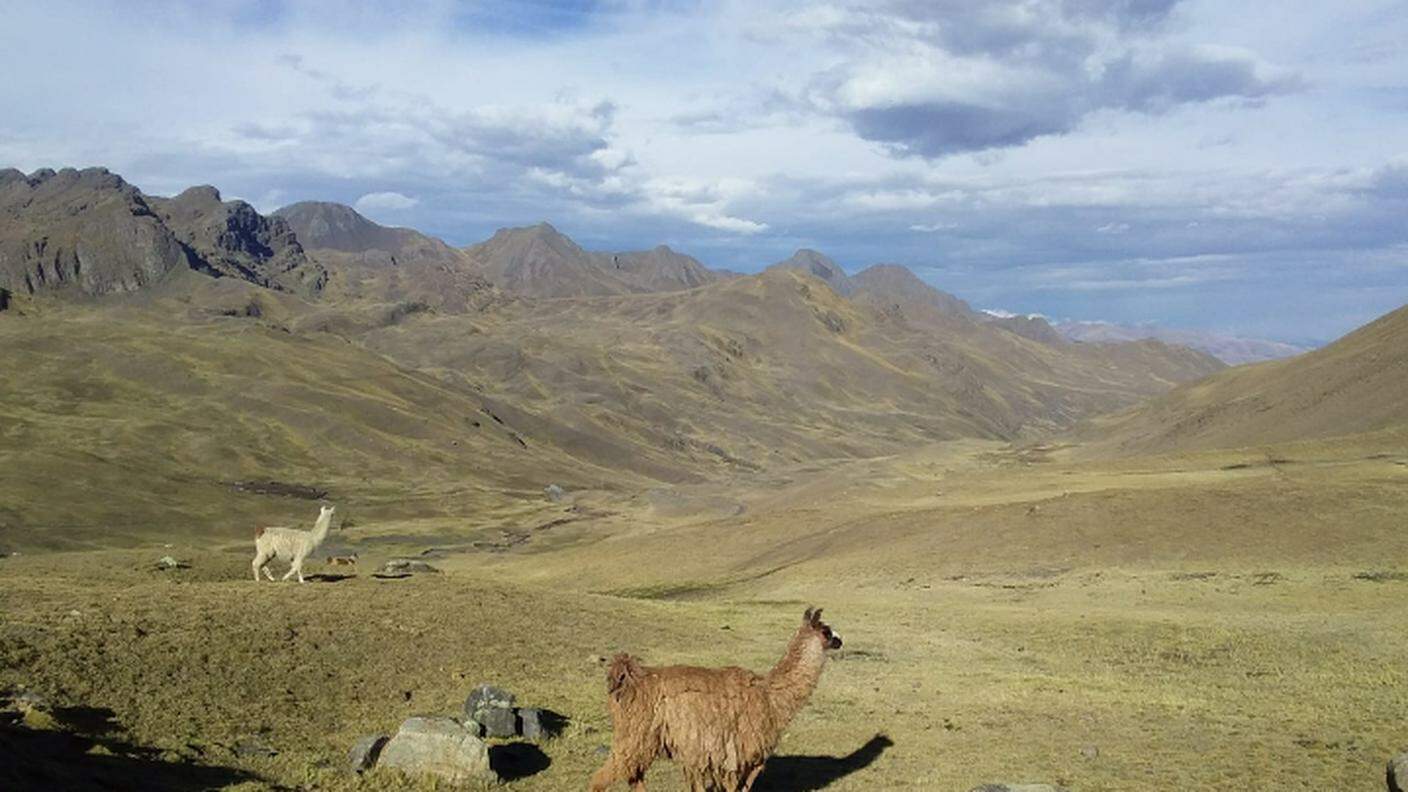 La natura boliviana
