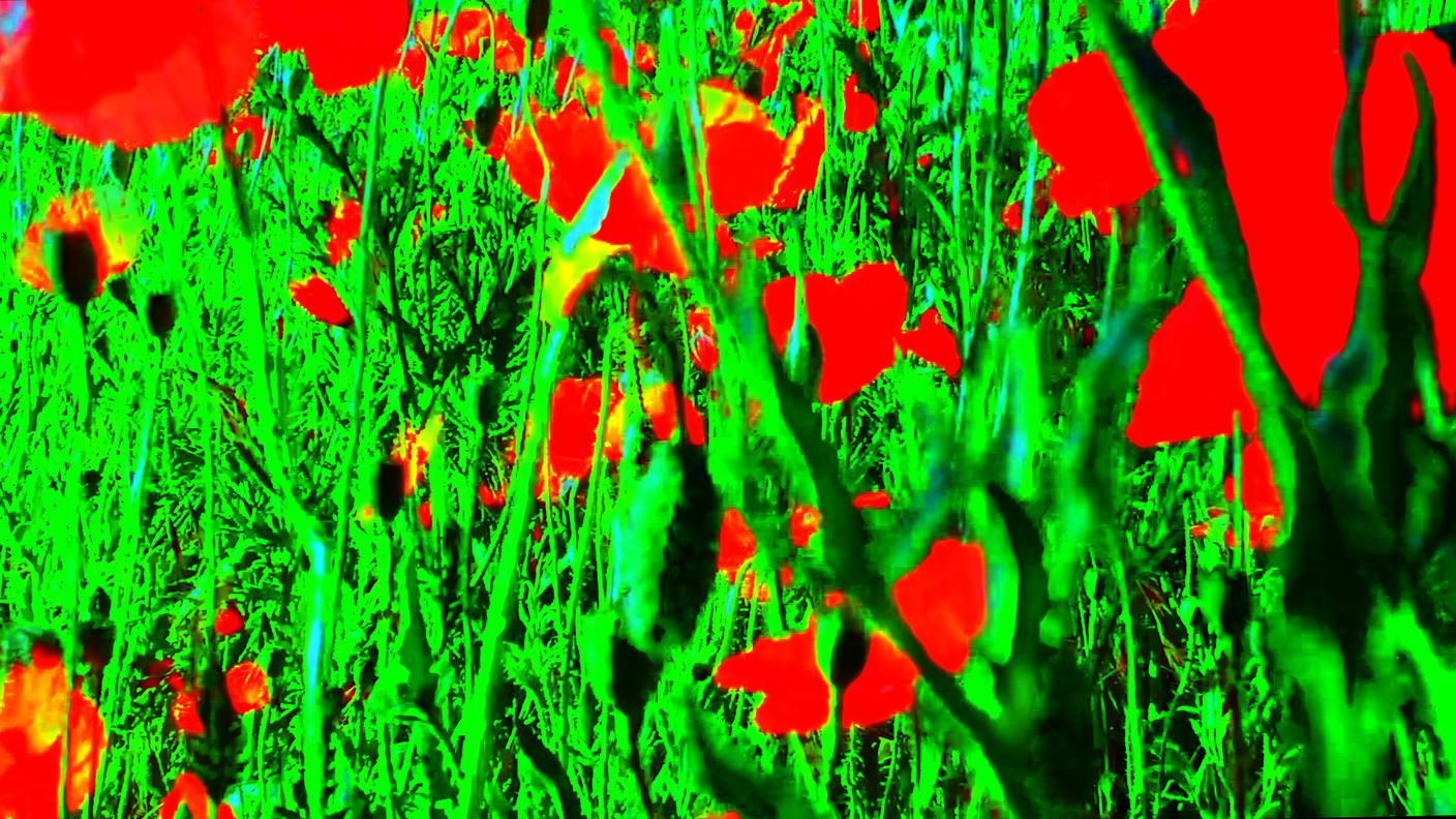 Coquelicots: Godard si sbizzarrisce con il digitale