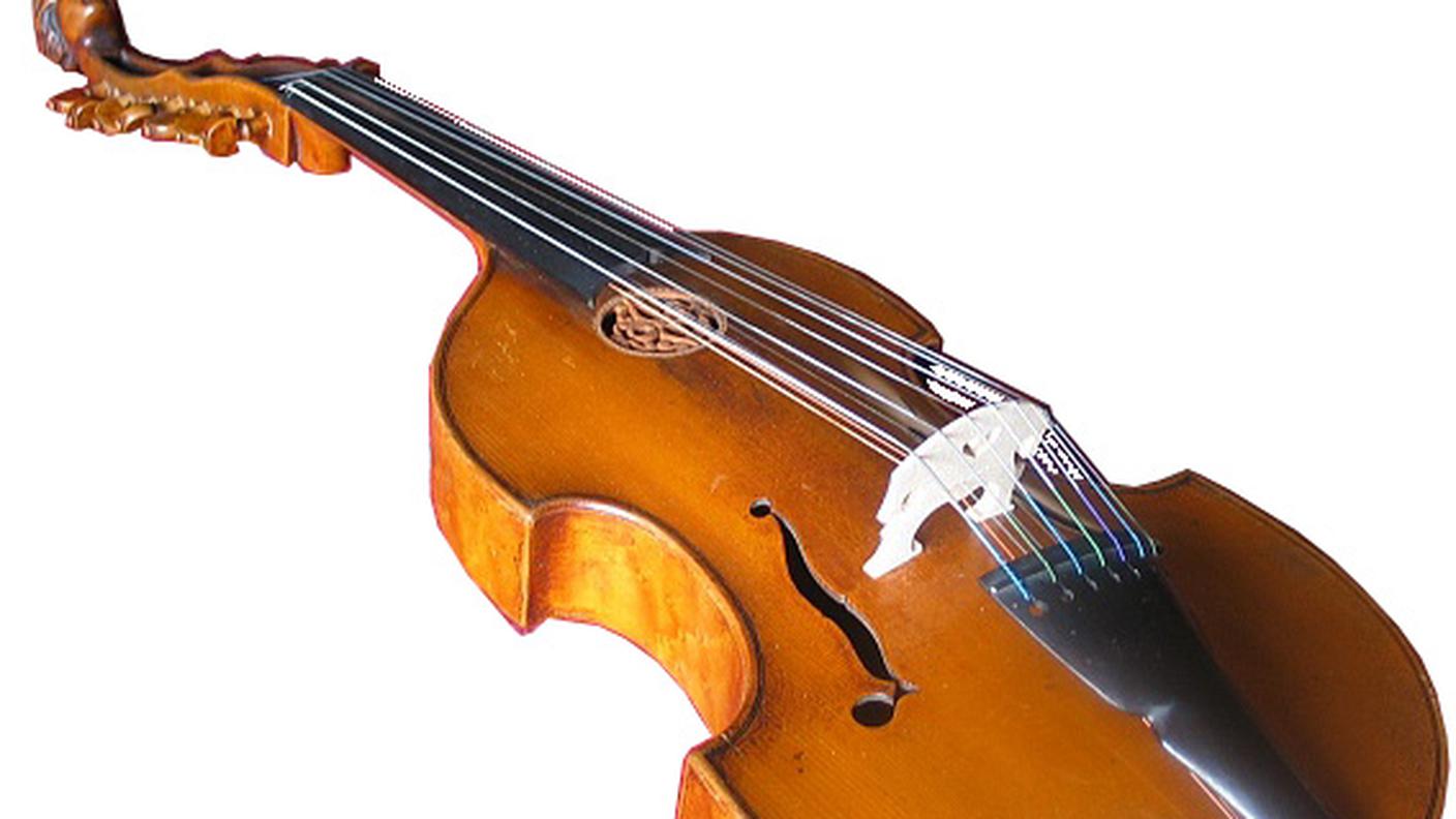 Viola_d'amore_i_cinque_elementi