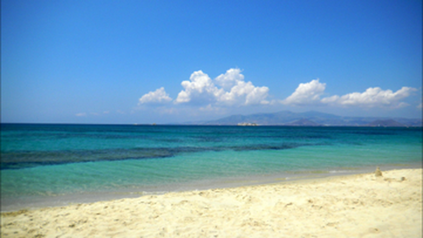IMG_8060.PNG