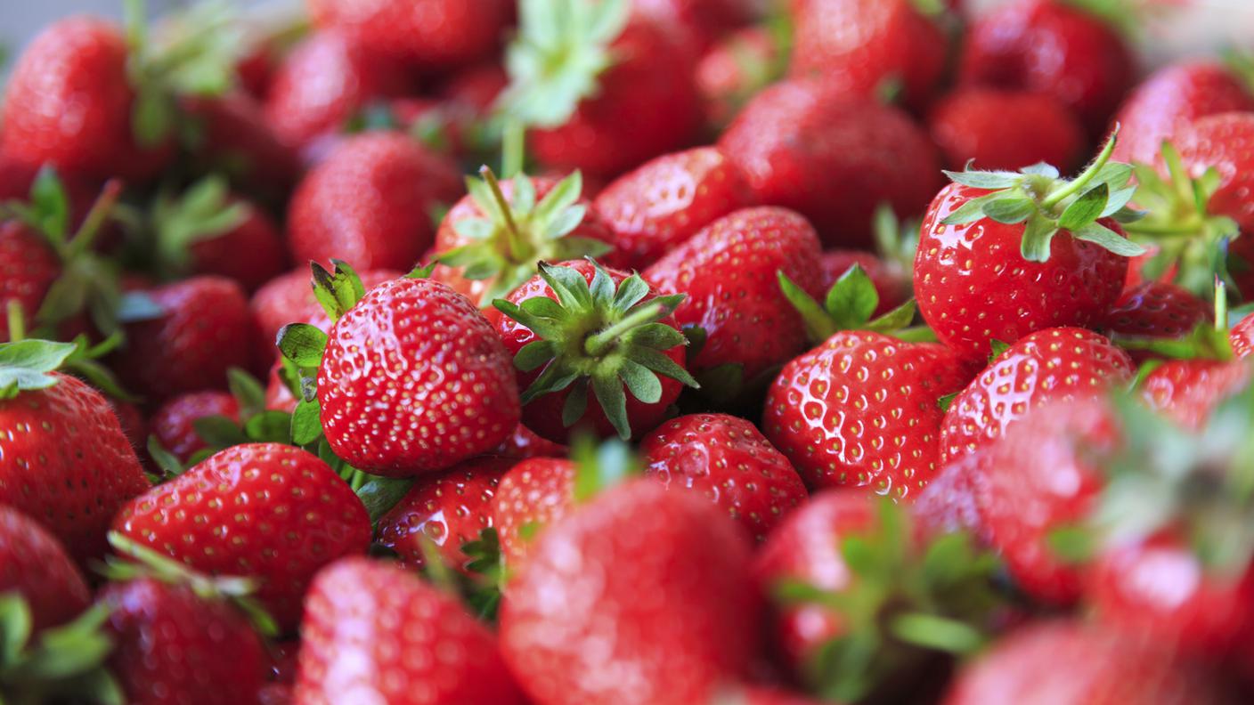 Fragola, Frutta, Freschezza, Estate, Cibo