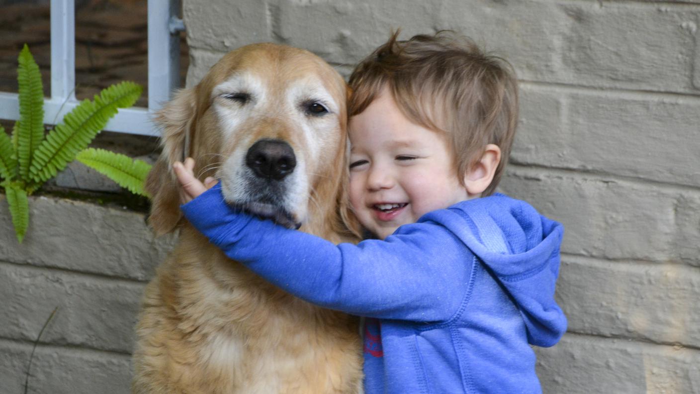 Amico aminale, cane