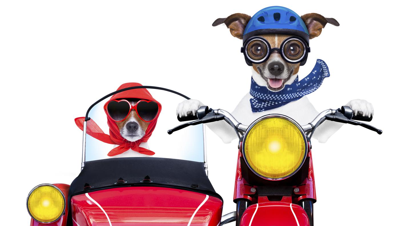 Sidecar, velocità