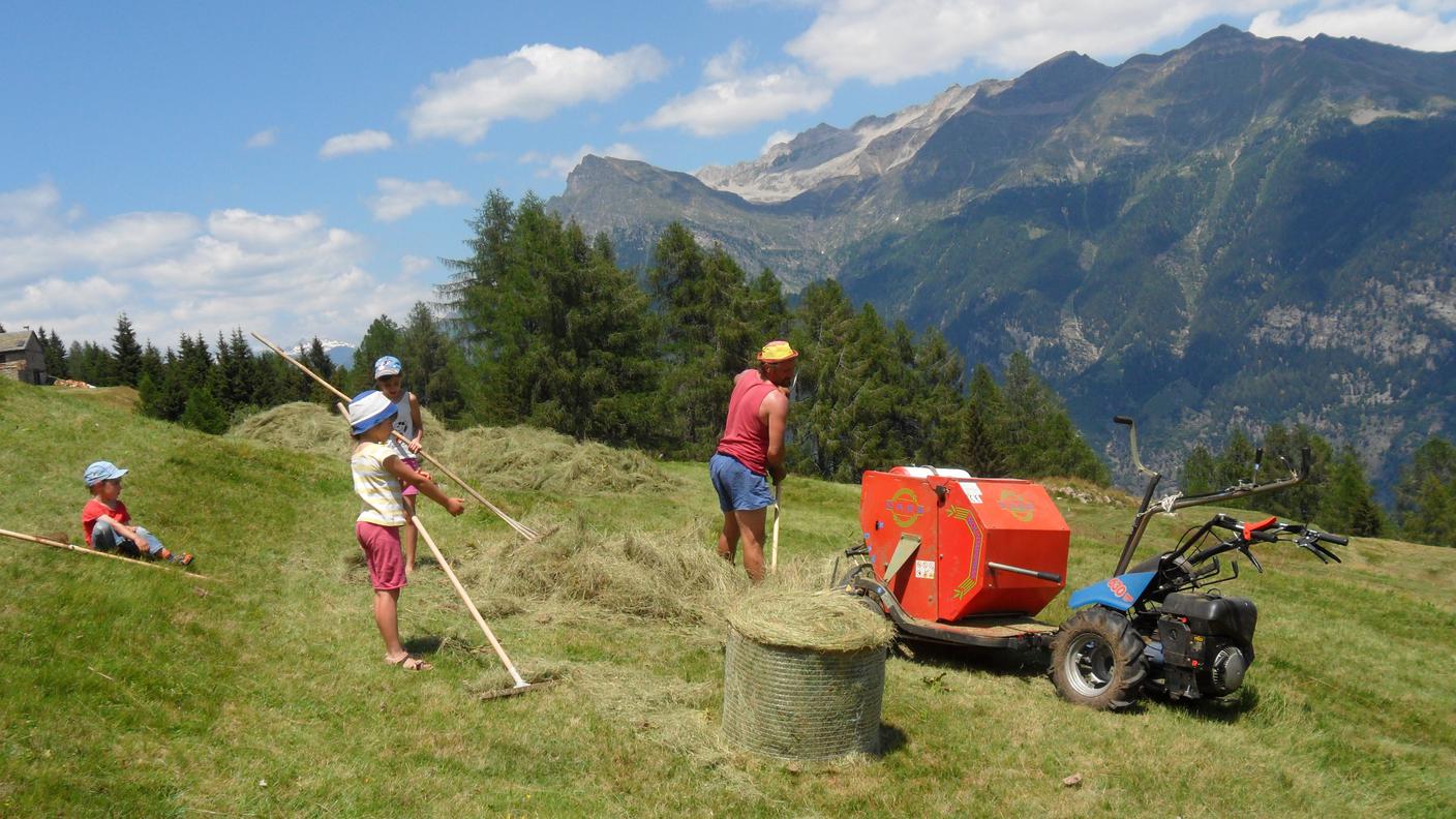Agriturismo