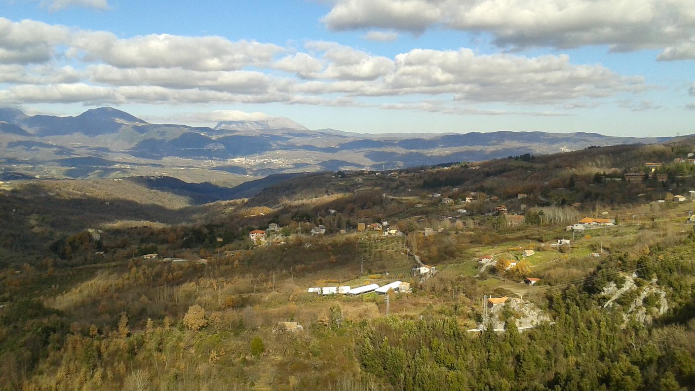 Pollino 1