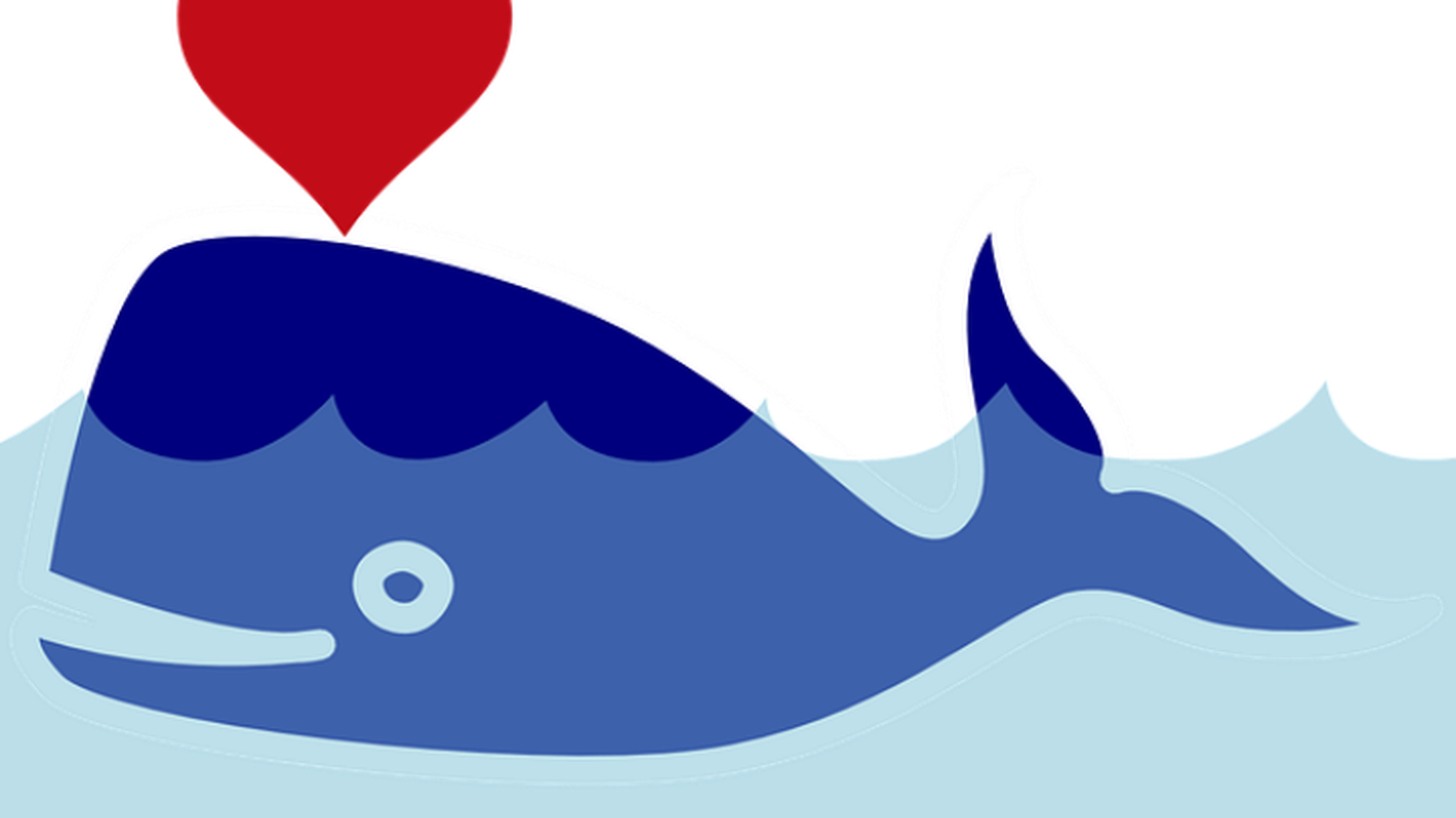 balenafelice