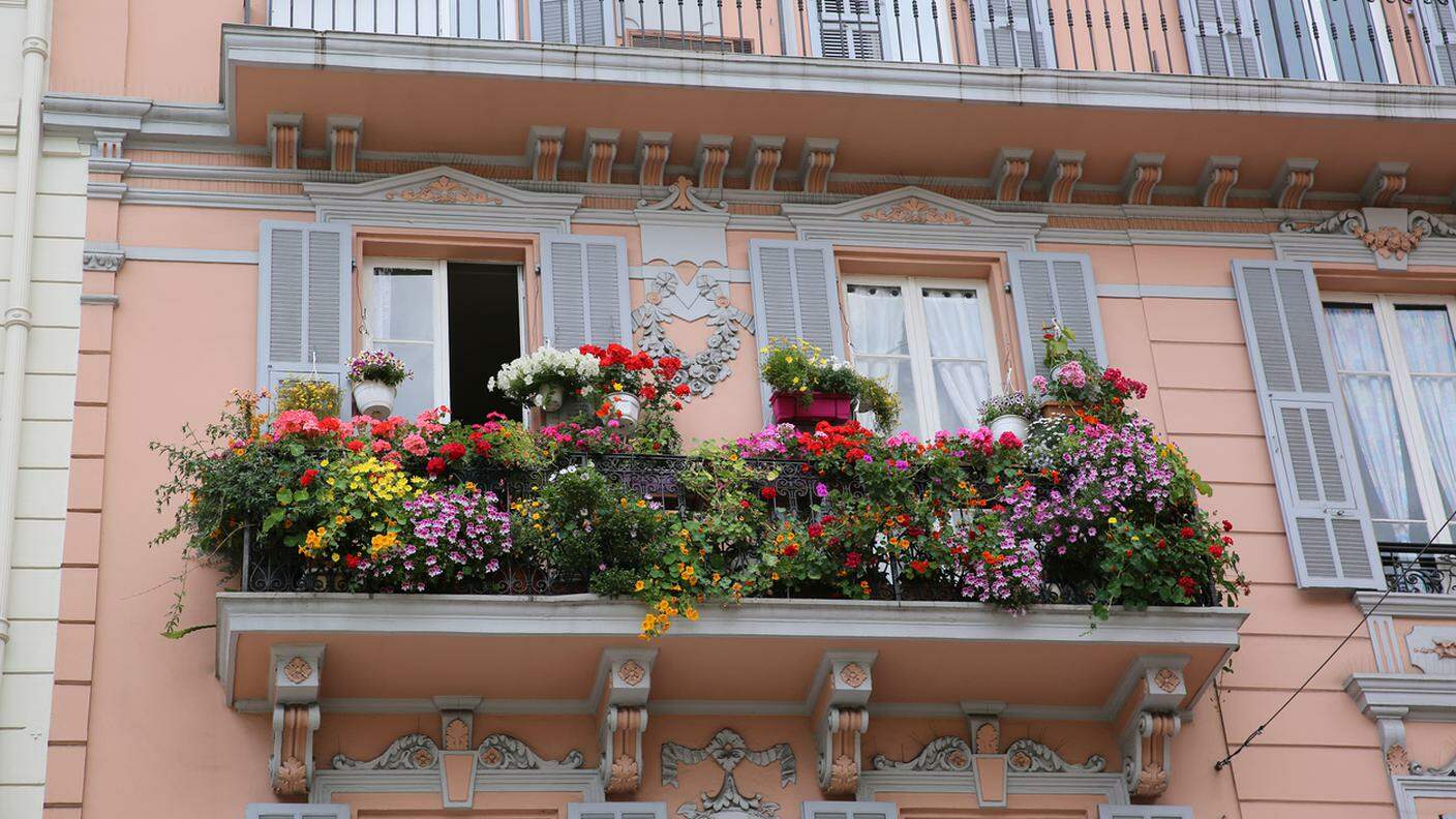 Balcone, Finestra, Flora, fiorito
