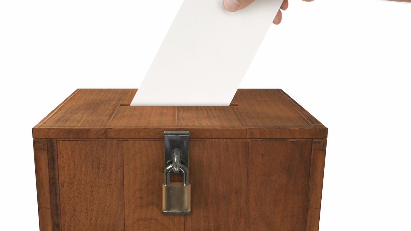 Votazioni   