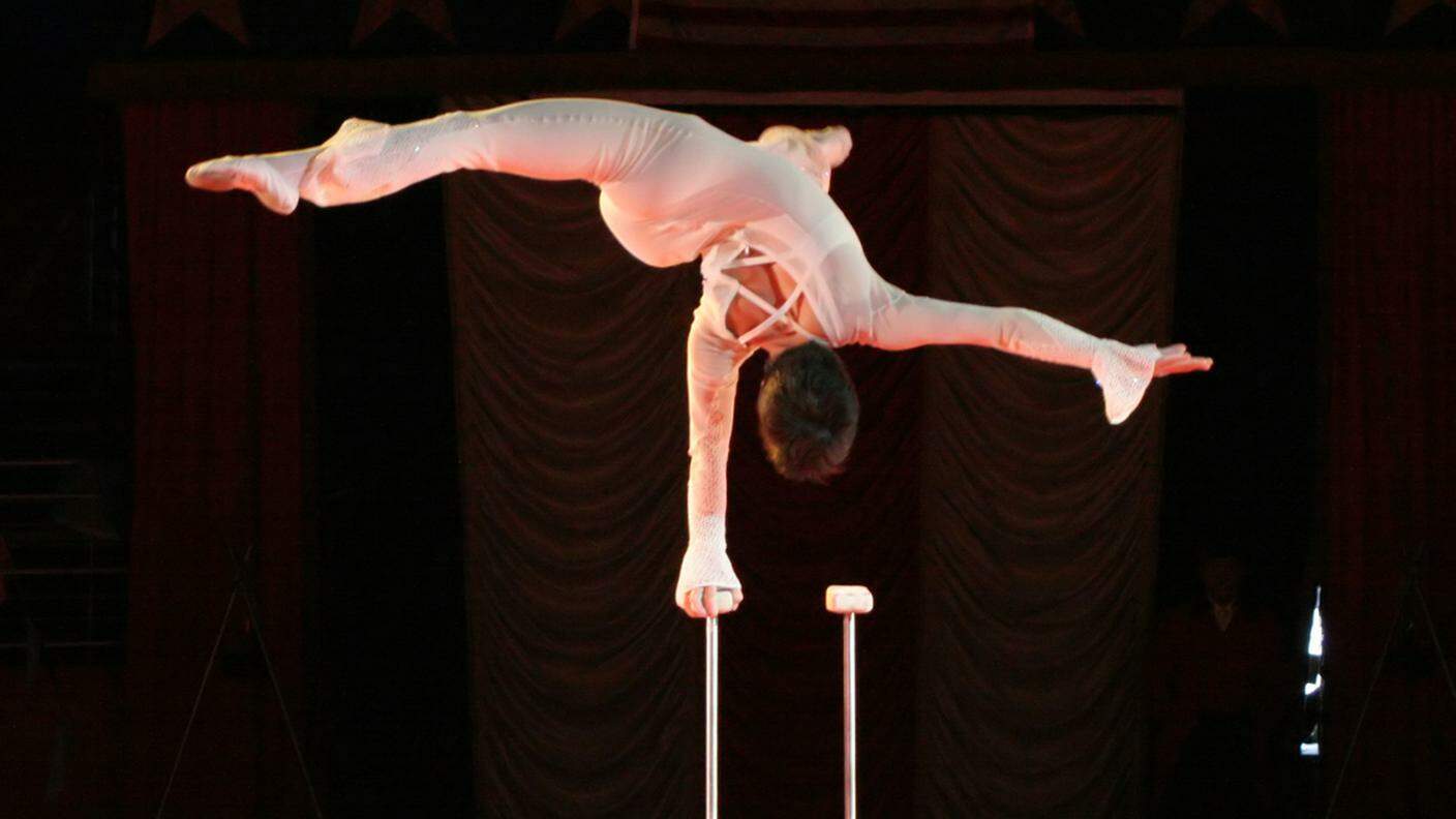 artista, acrobata, circo