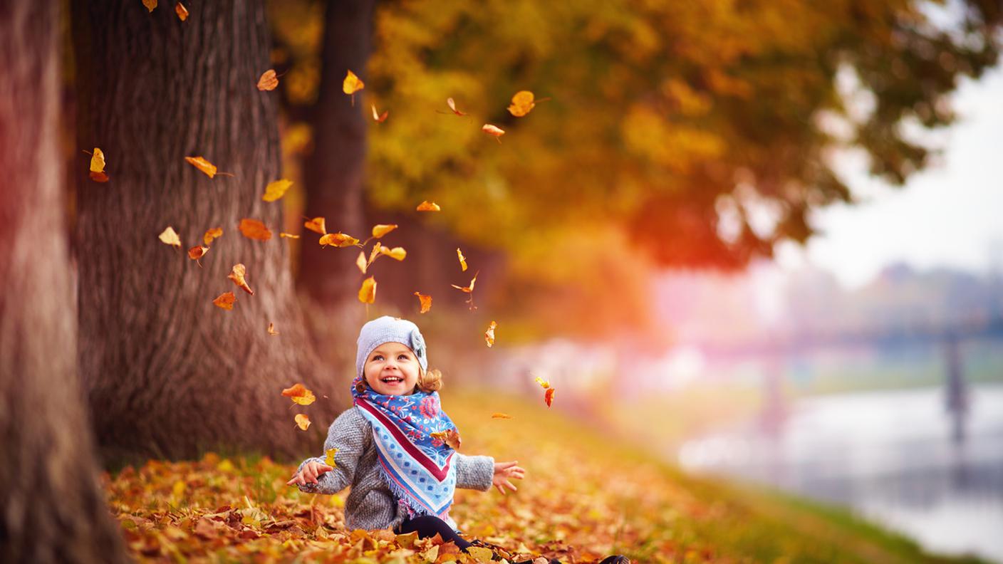bambina, divertirsi, foglie, albero, autunno