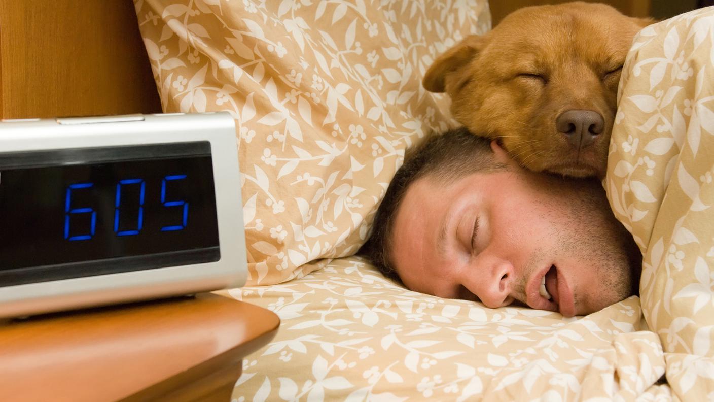 Dormire, Cane, Uomini, Persone, Animale da compagnia