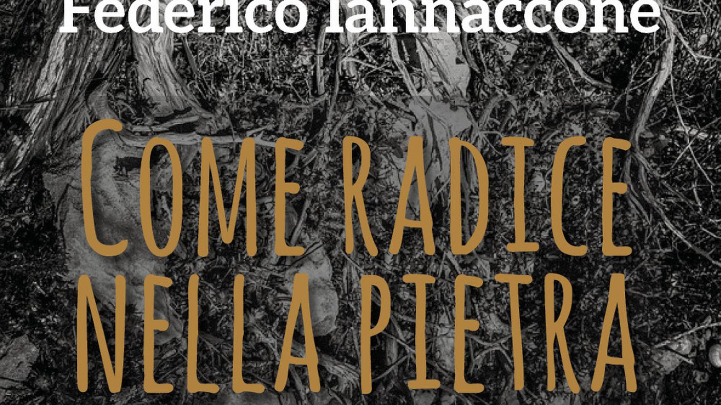 Federico Iannaccone 'Come radice nella pietra'