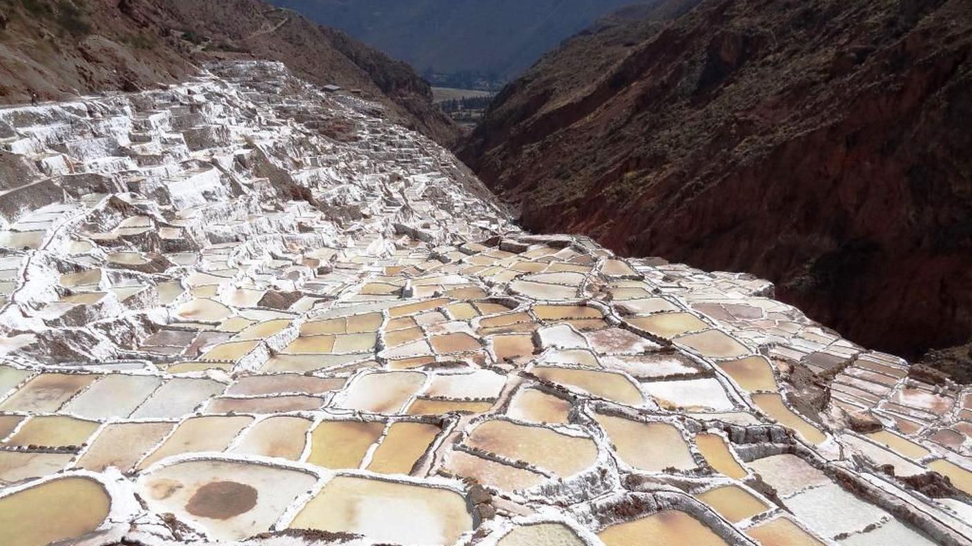 saline maras