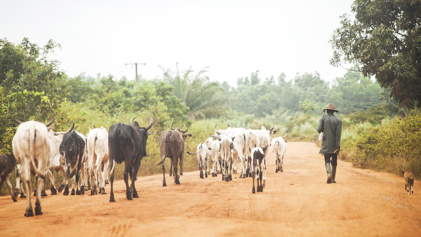 Fulani