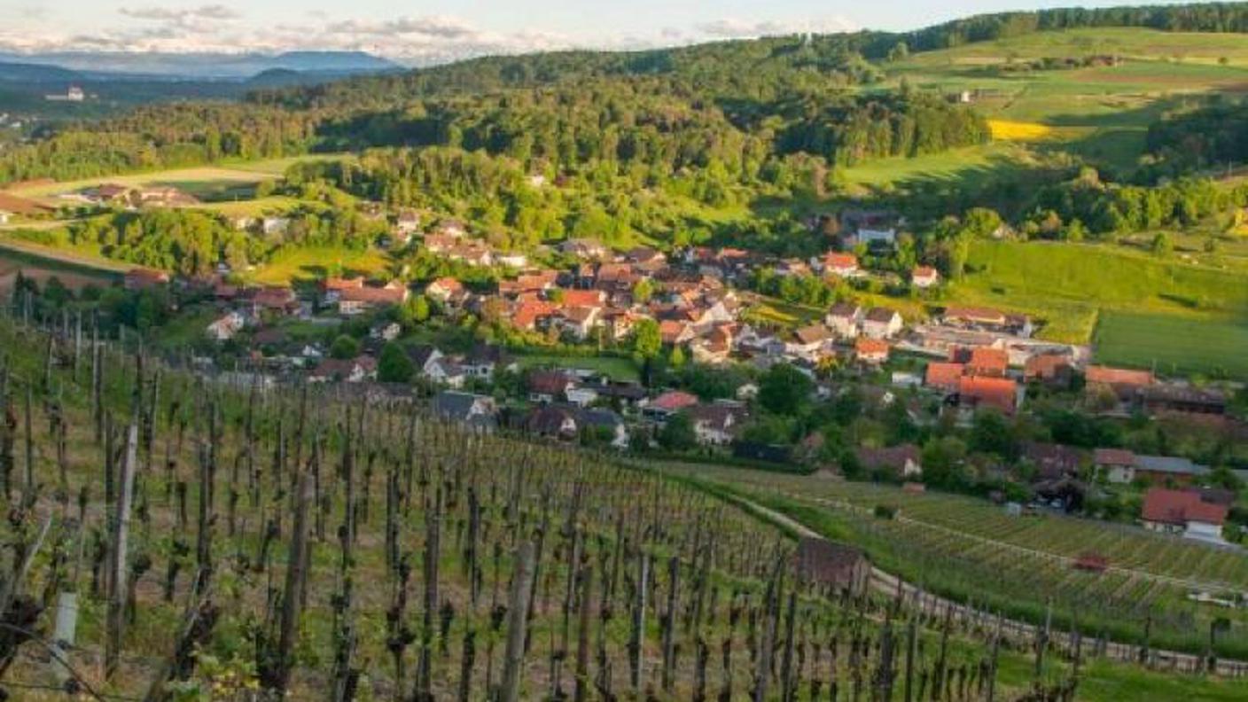 Schinznach