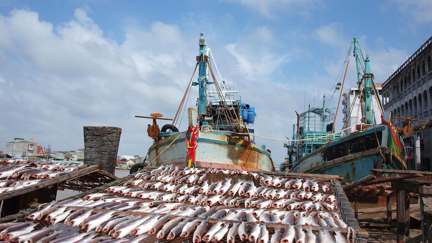 pesca intensiva