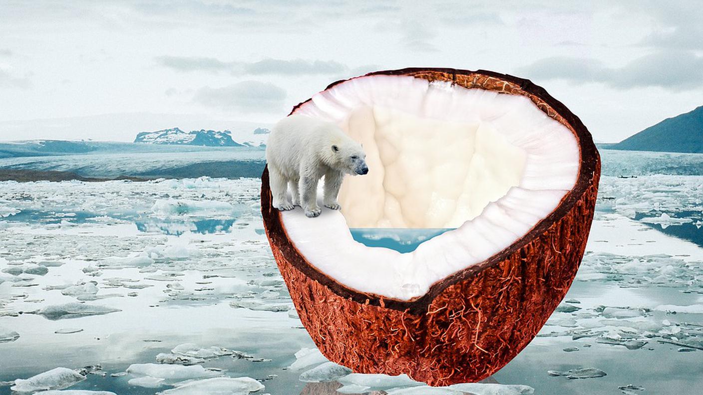 Cambiamento climatico