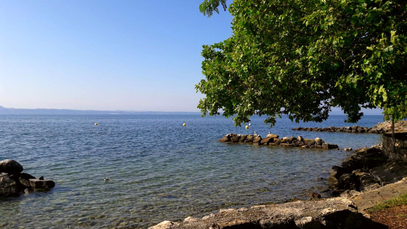 Lago di Neuchâtel