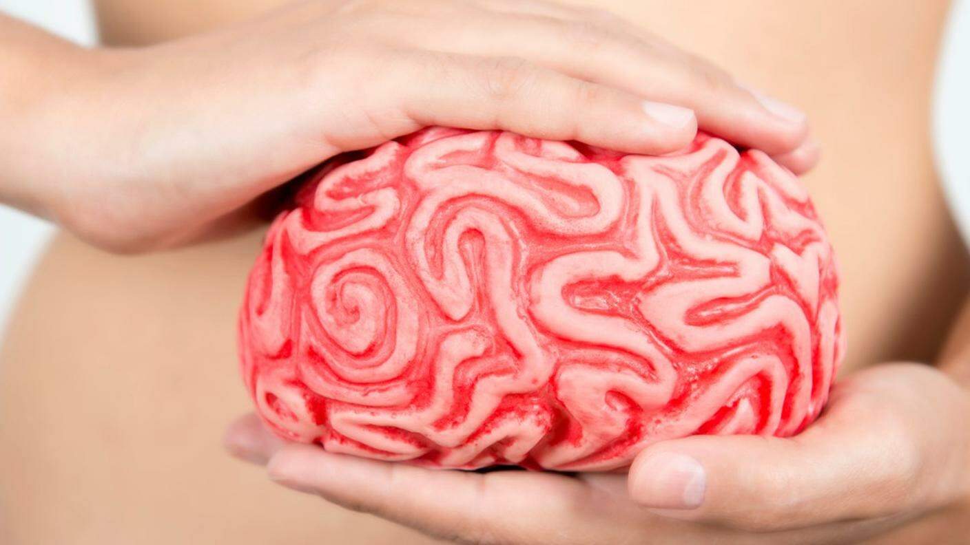 Il nostro secondo cervello: l’intestino!