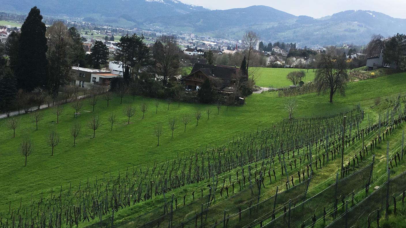 Il castello di Grünenstein 1