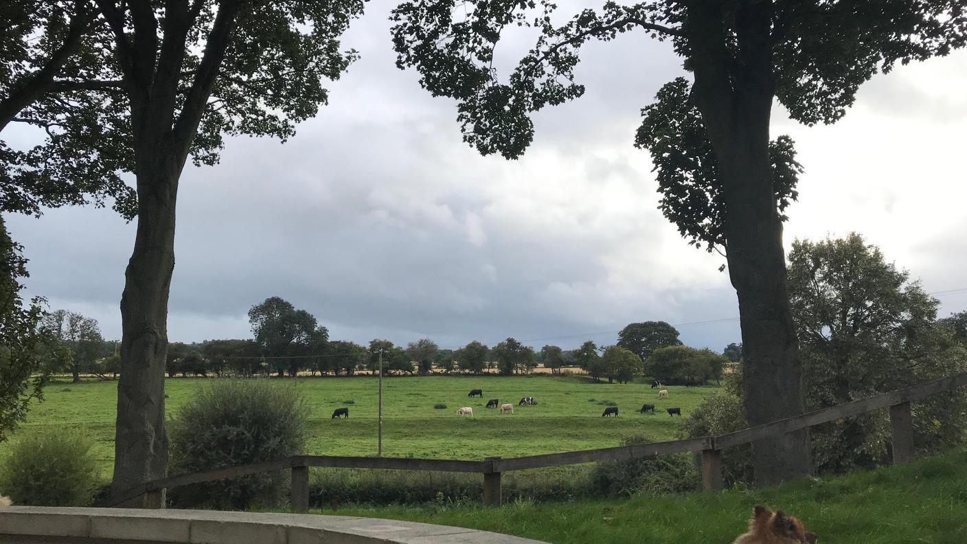 La campagna dello Yorkshire