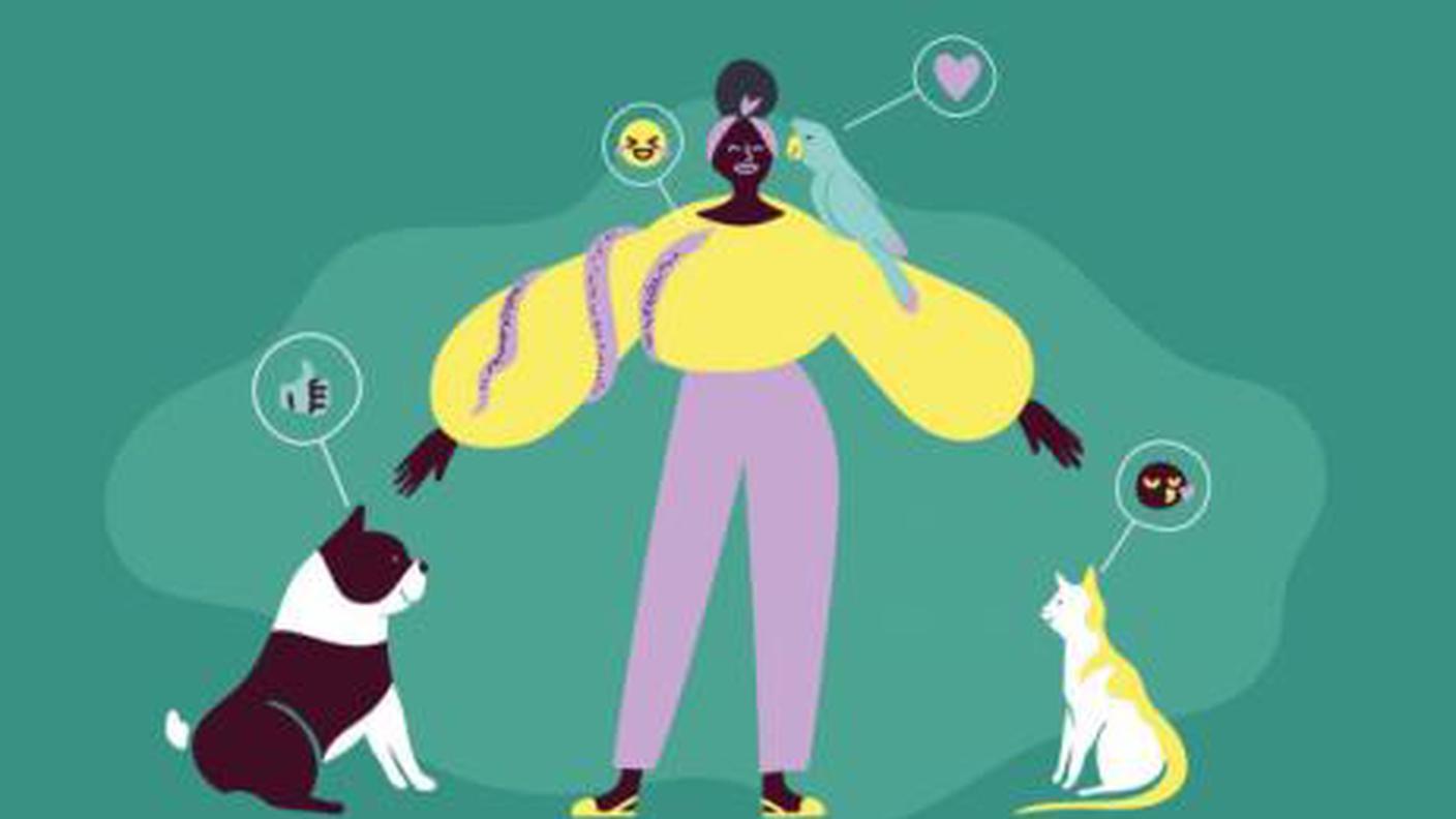 Pet sitter
