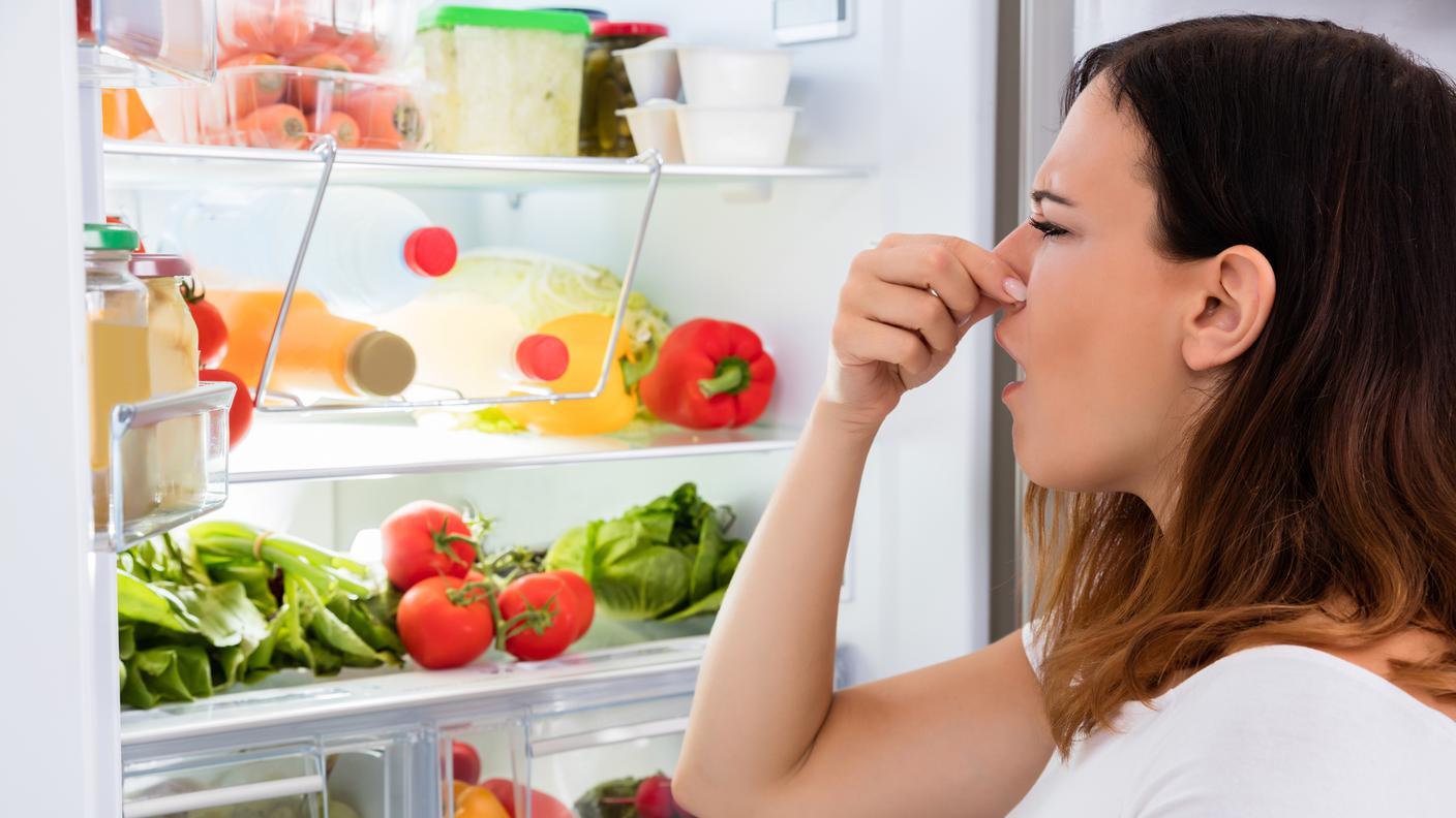 Conservazione alimenti