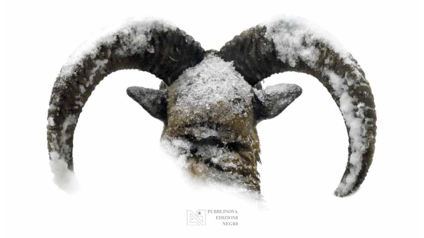 Marco Colombo, "Paesaggi bestiali", Pubblinova Negri (dettaglio copertina)