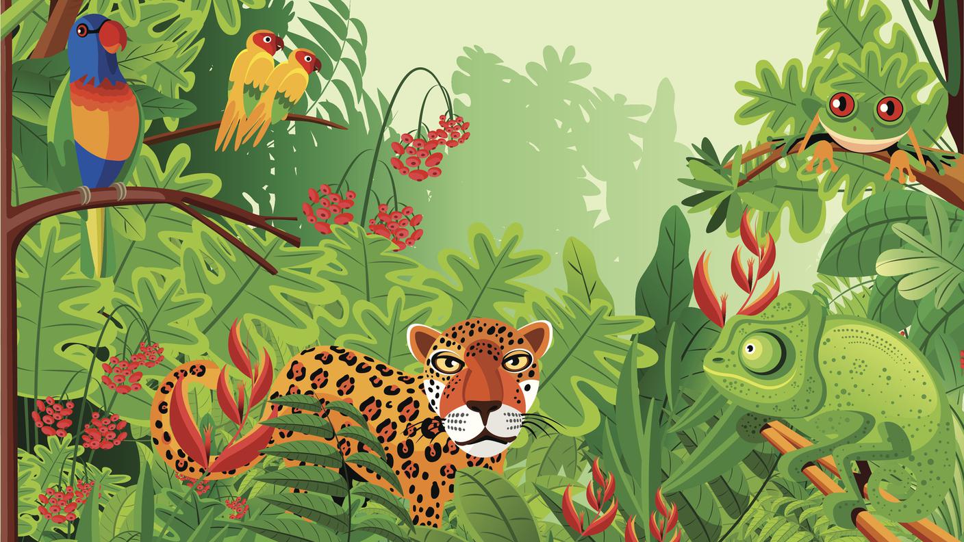 Biodiversità