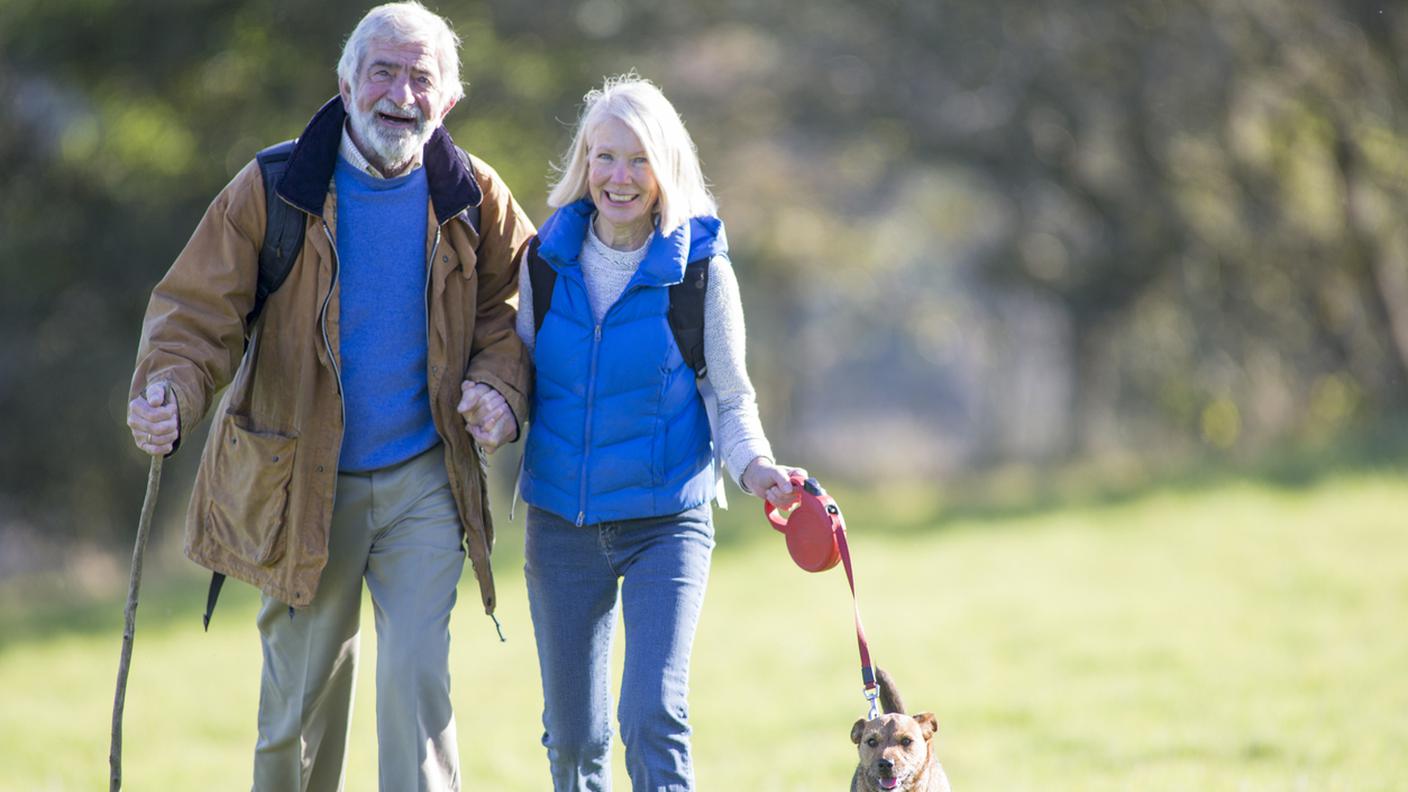 Camminare, Cane, Coppia anziana, Terza età, Coppia di età matura