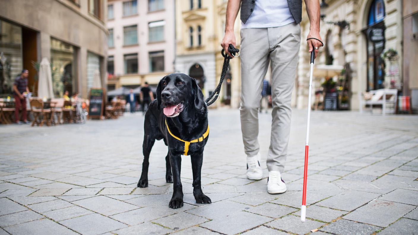 persona cieca con bastone, cane per ciechi