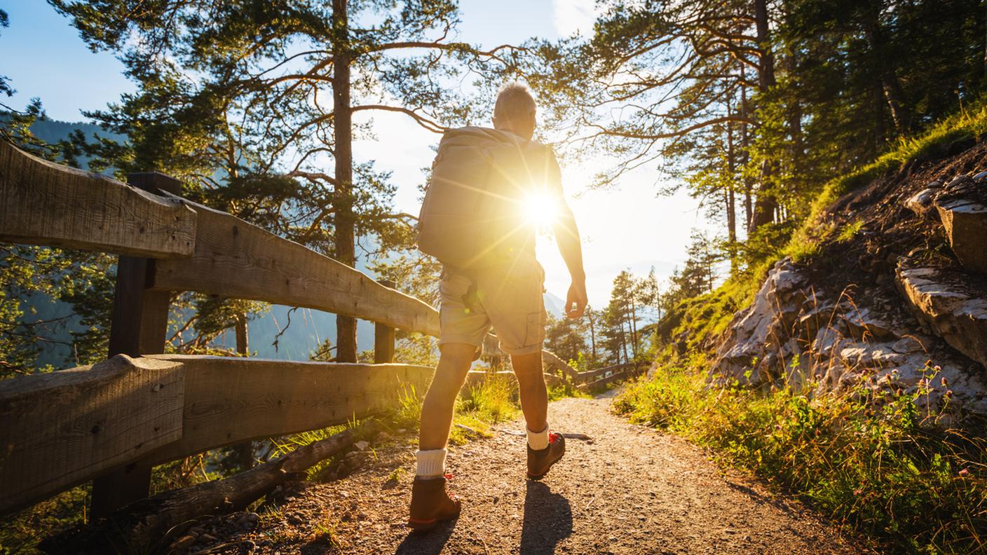 Sentieri, natura, biodiversità, bosco, camminare