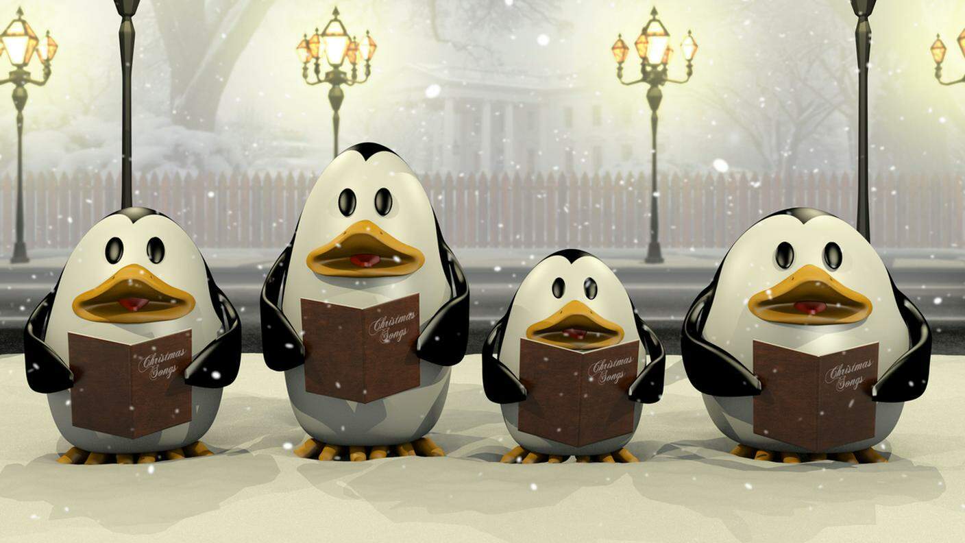 coro, cantare, pinguini