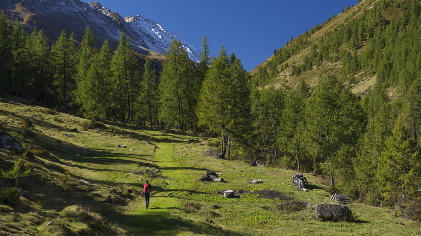 trekking, camminare, montagna, Ticino