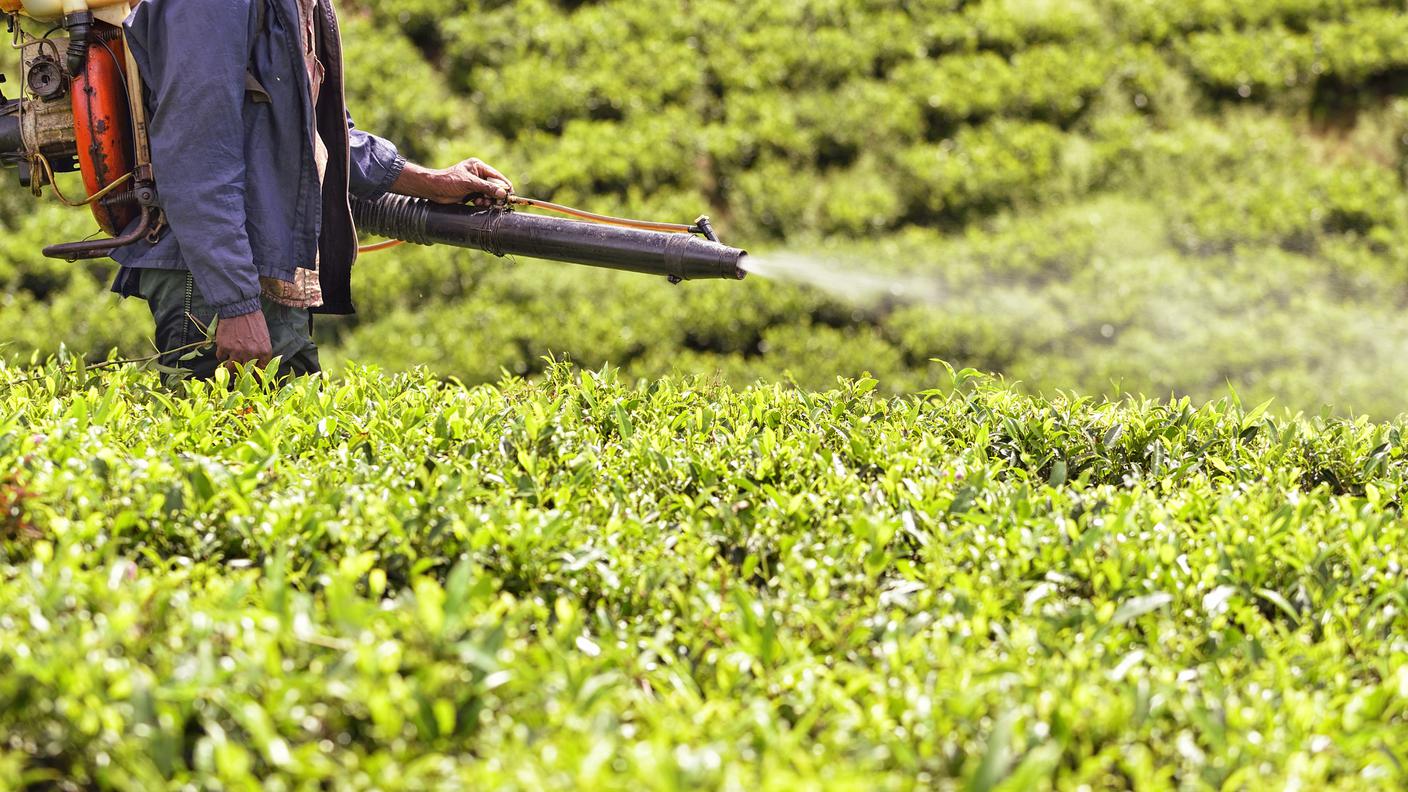 Il rischio dei pesticidi per la salute
