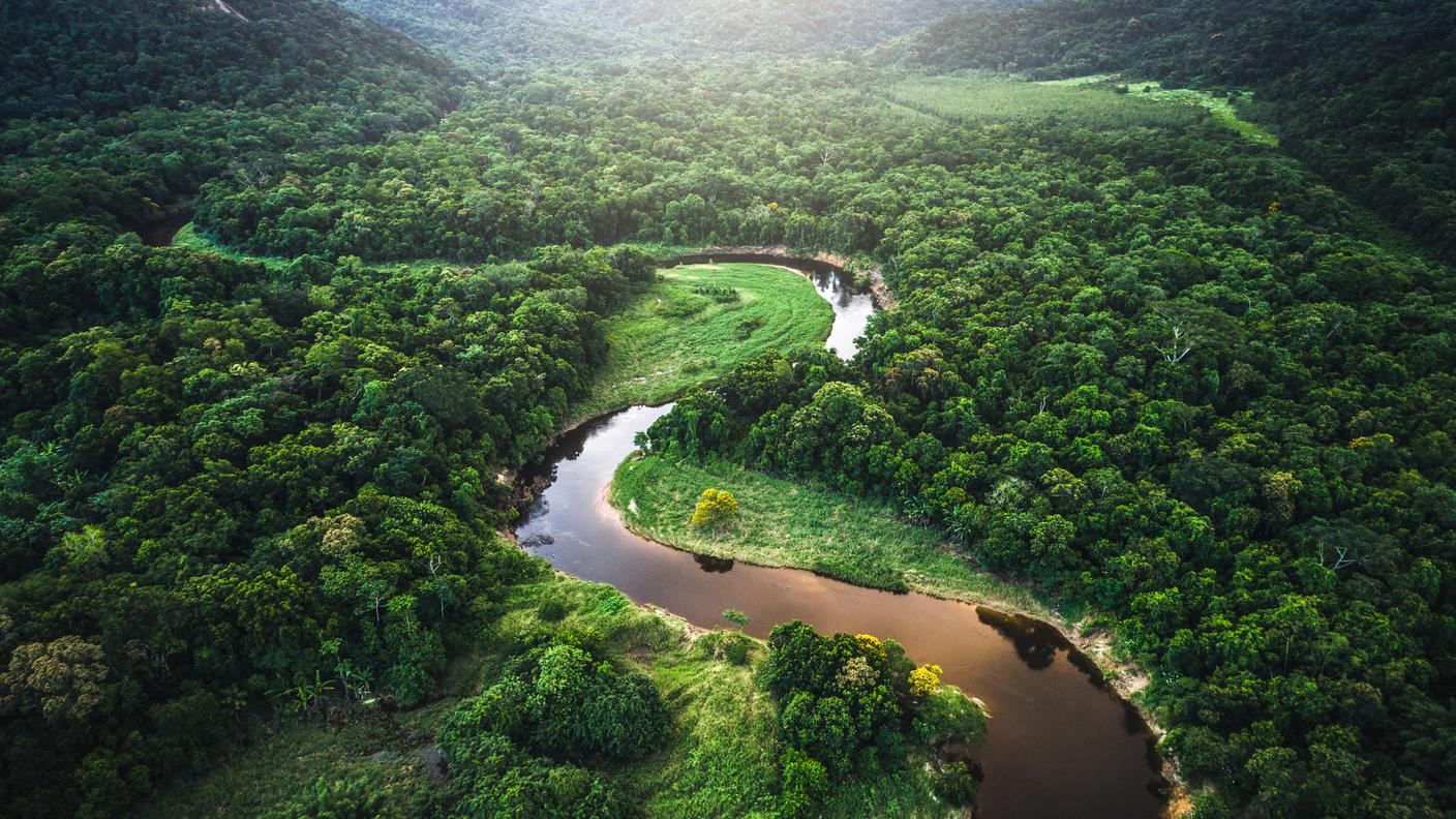 La foresta amazzonica