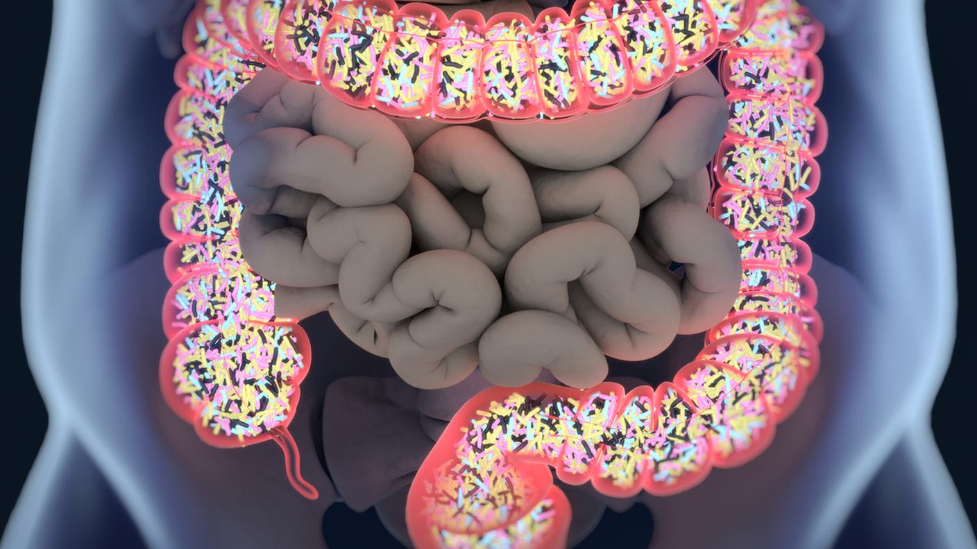 microbioti, microbiota, intestino, corpo umano