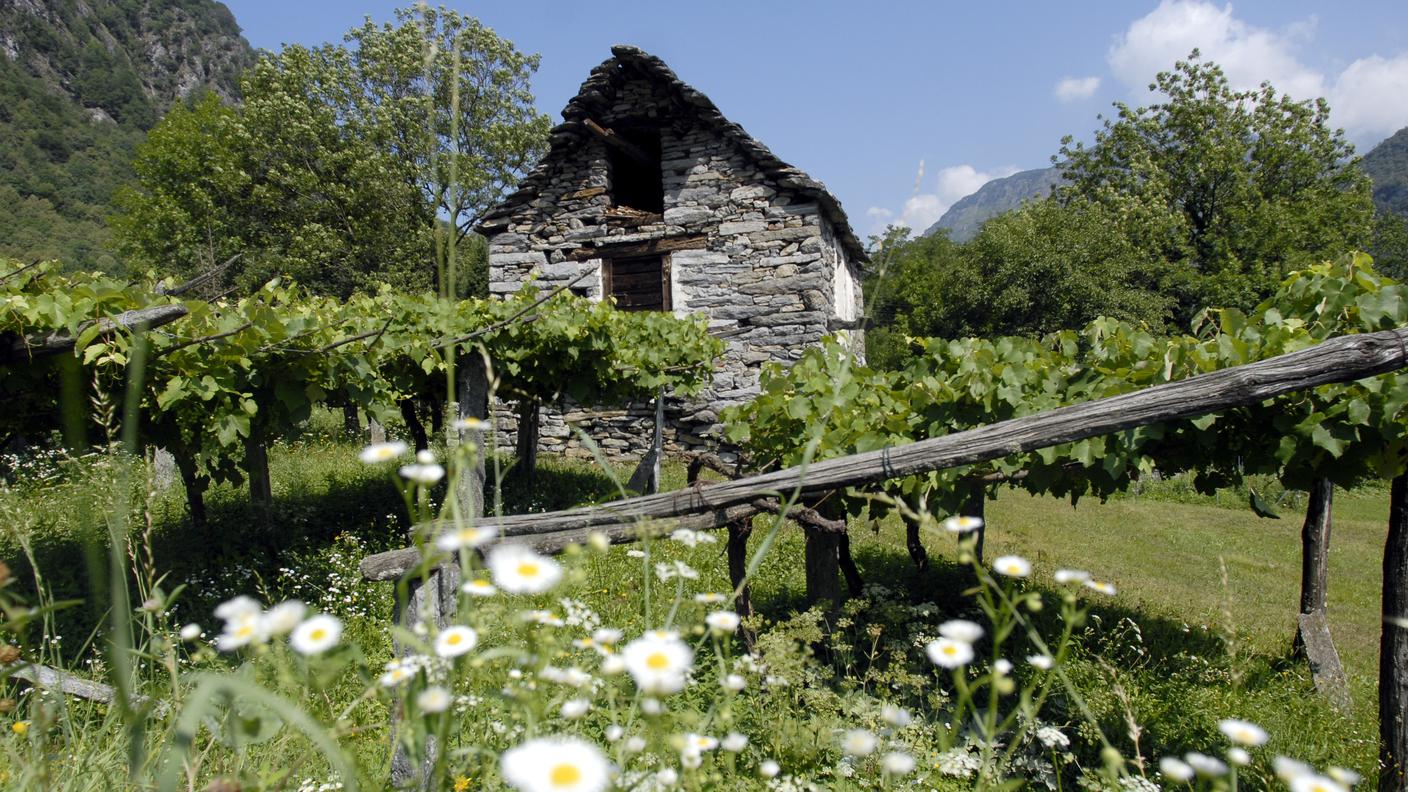 Un rustico ticinese nel Gambarogno