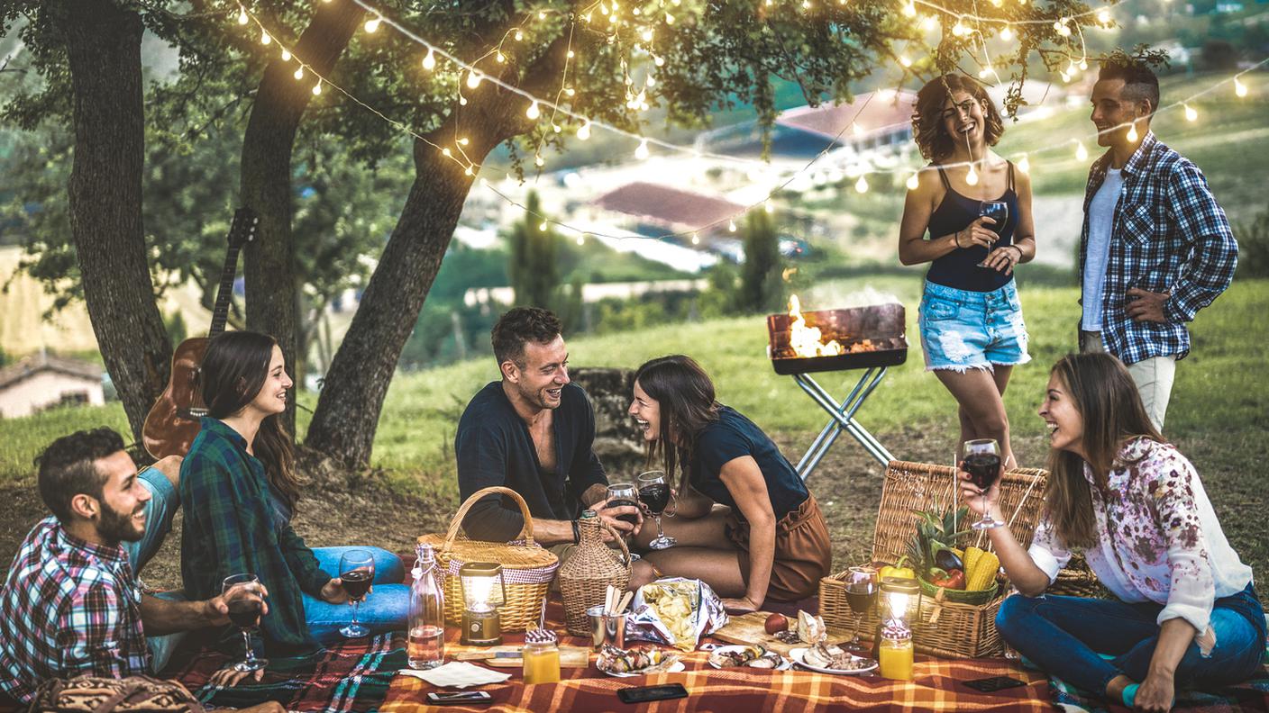 pic nic con grigliata, amici, prato