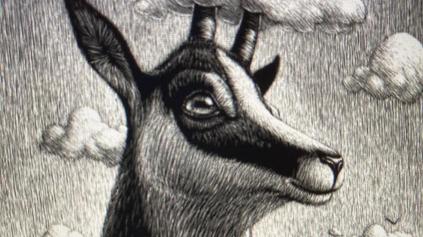 Copertina Nidola.jpg