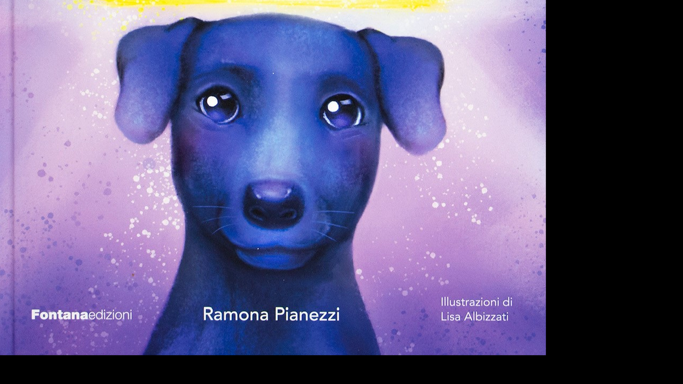 Misha: Il re dei trovatelli