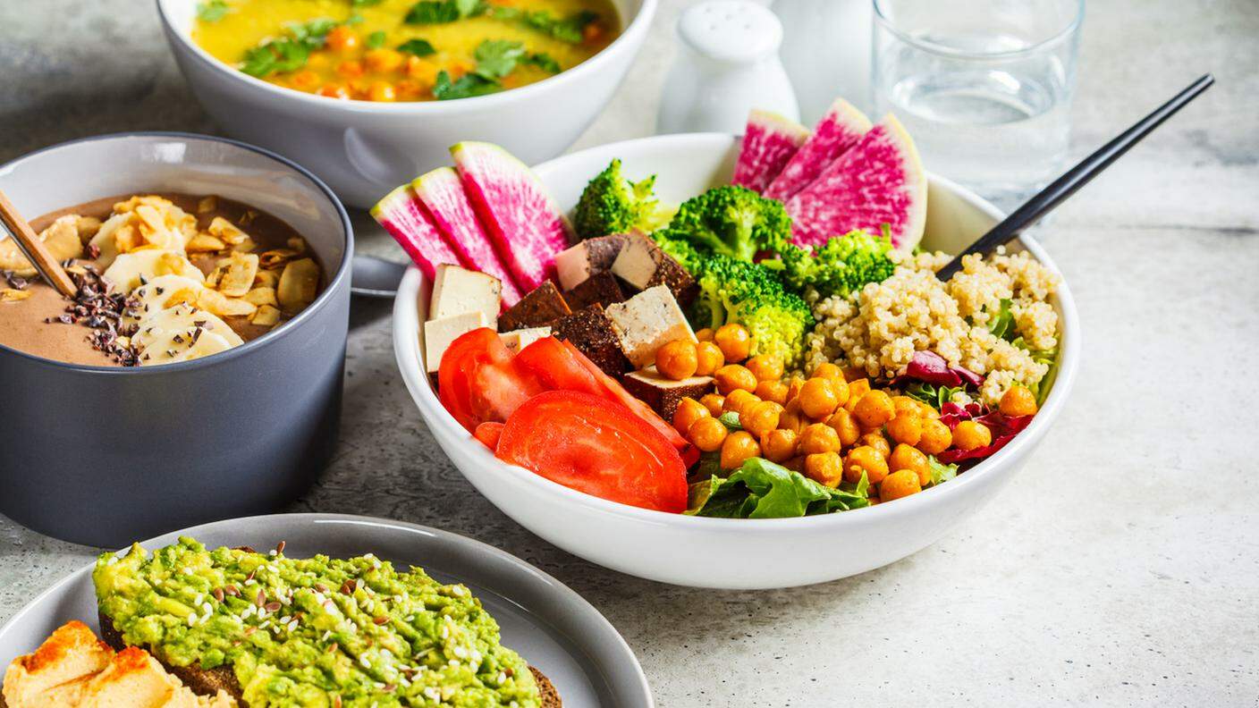 cibo, piatto vegan, verdure, orzo, tofu, quinoa
