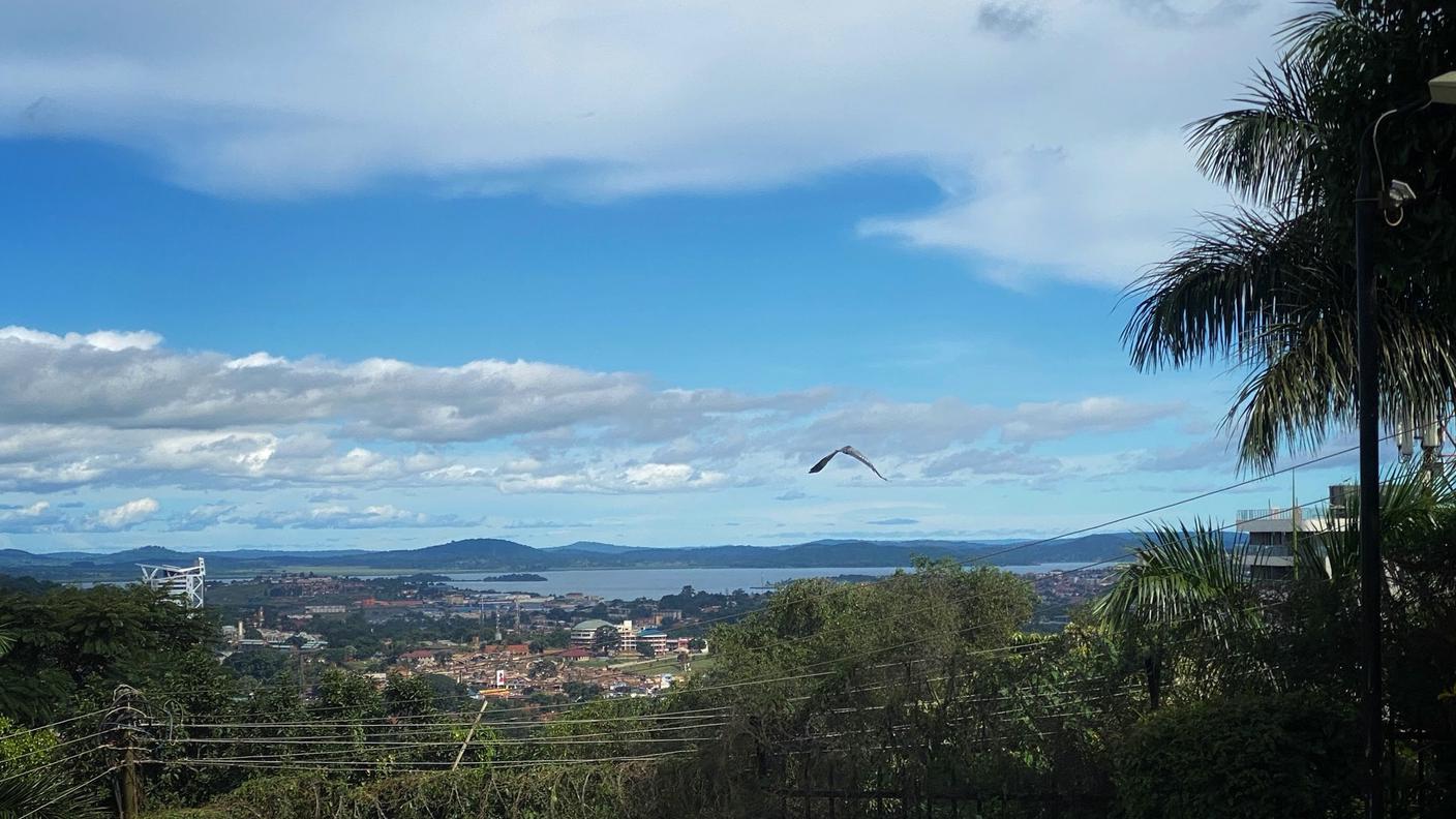 Vista dalla casa di Romina