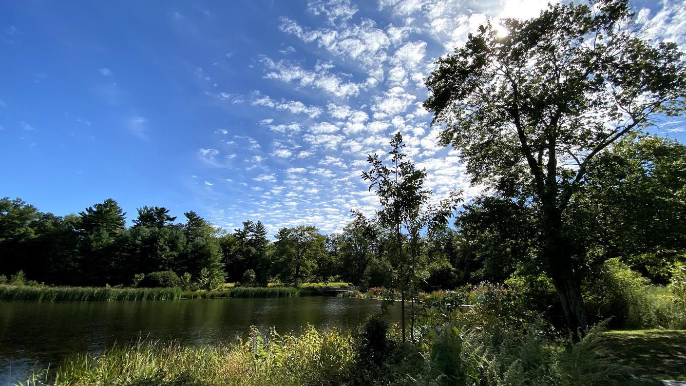 Loantaka Brook Reservation
