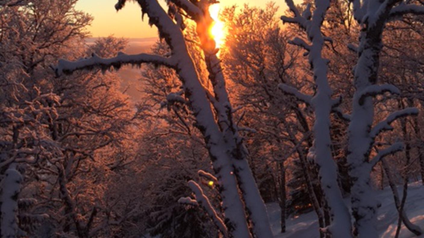 Åre