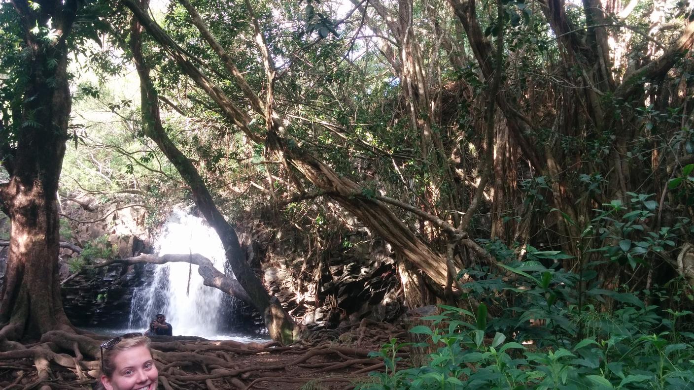 Hawaii - Twin Falls