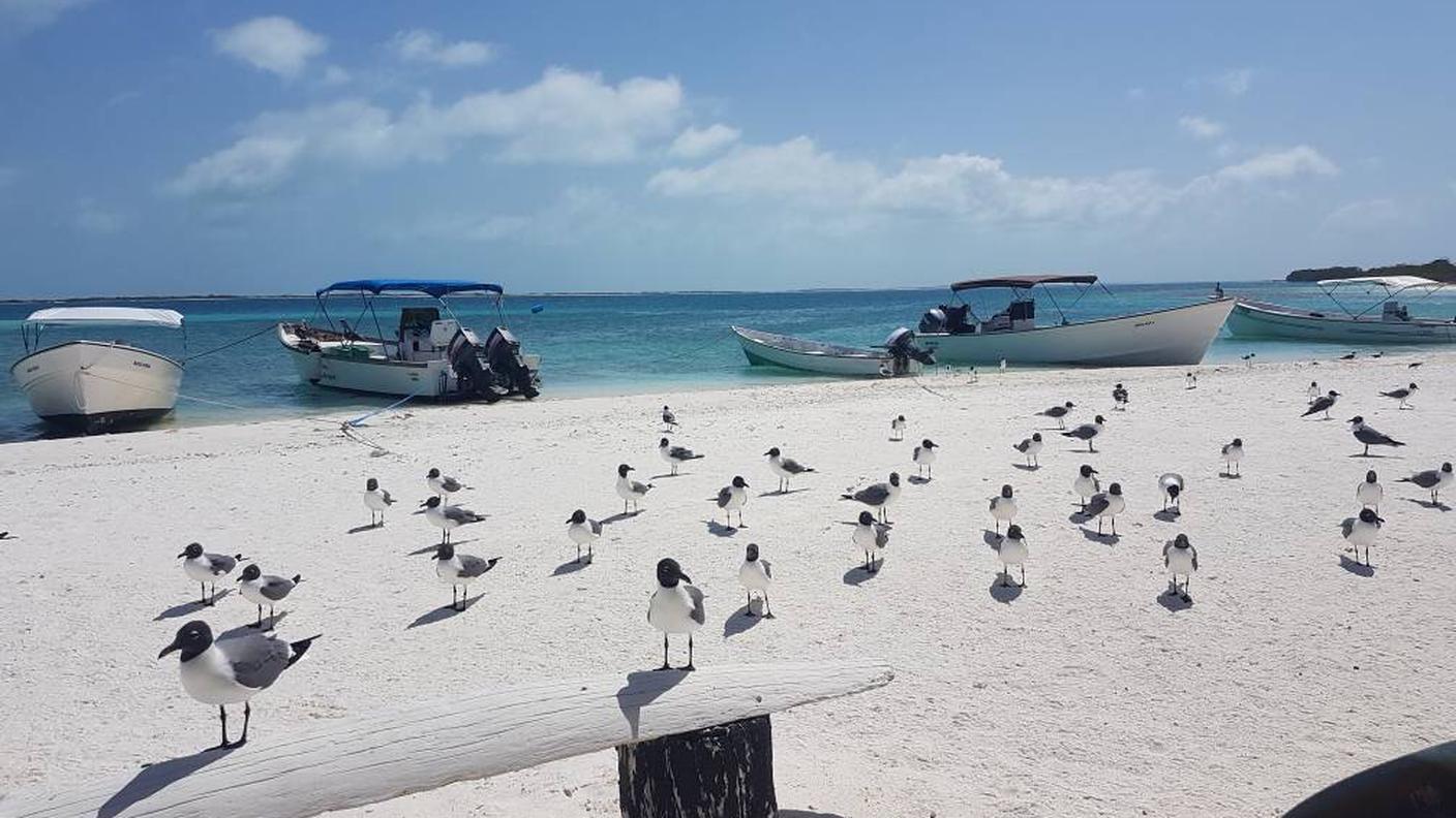 Le spiagge in Venezuela