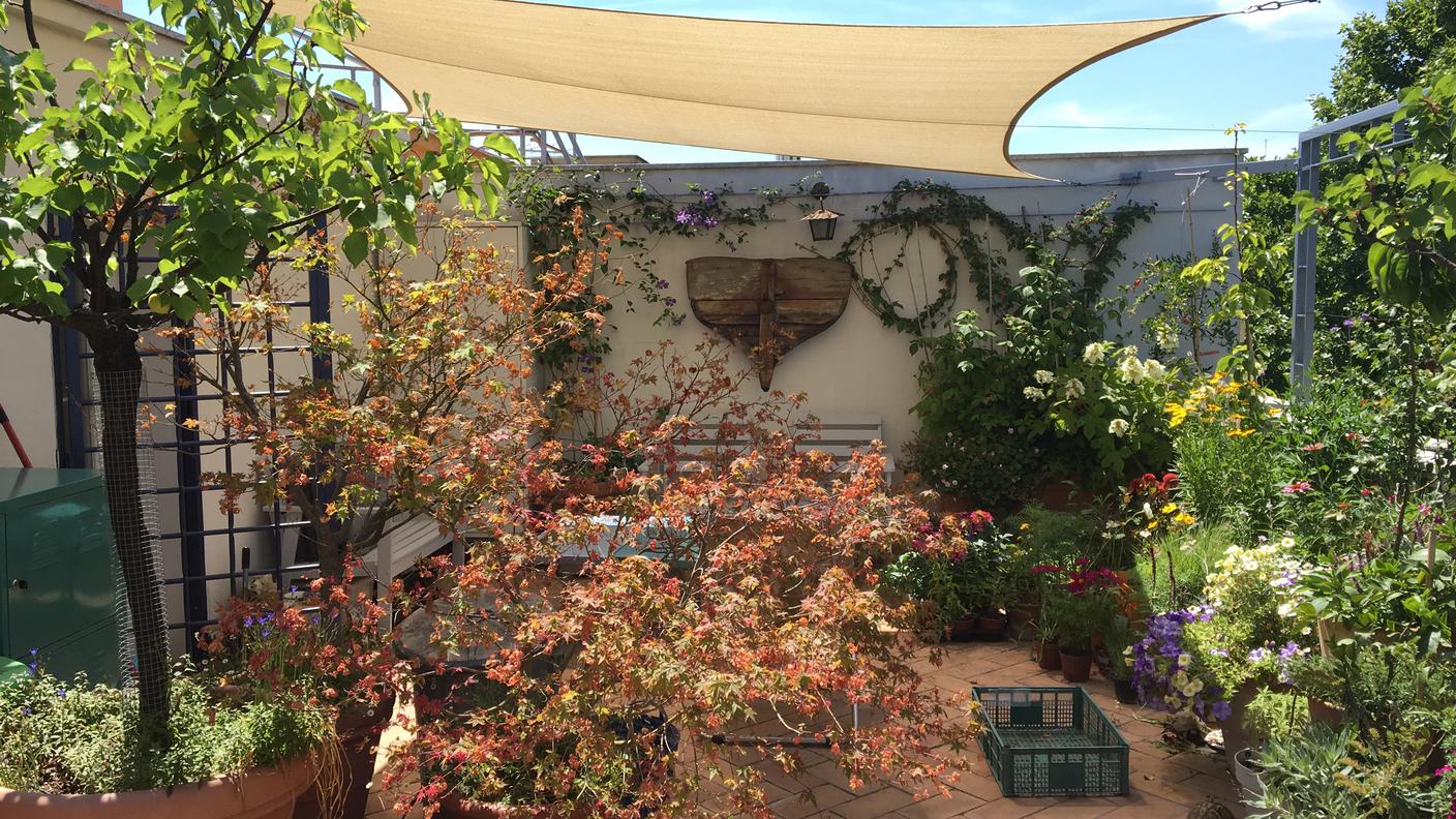 La terrazza di Igor