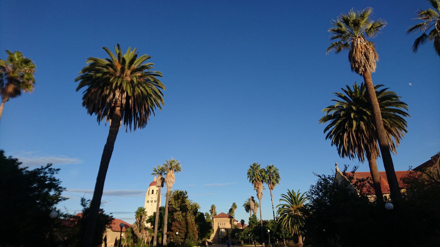 Stanford University