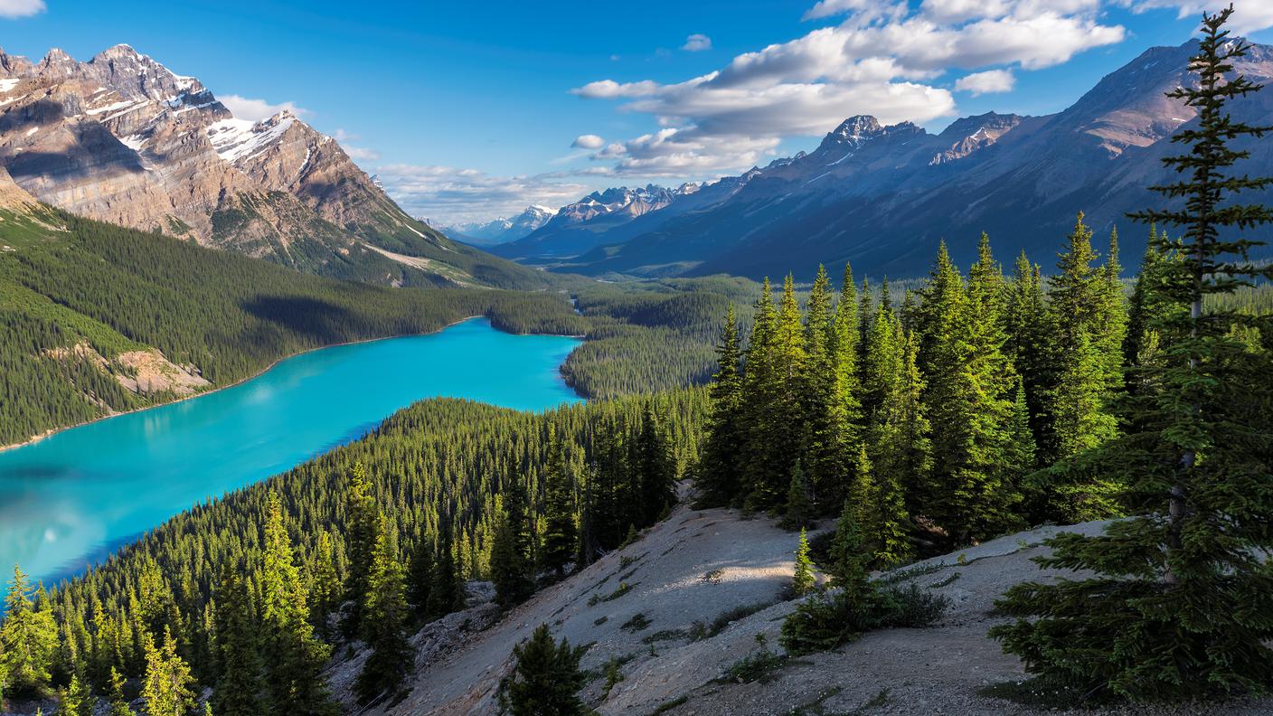 La natura di Calgary